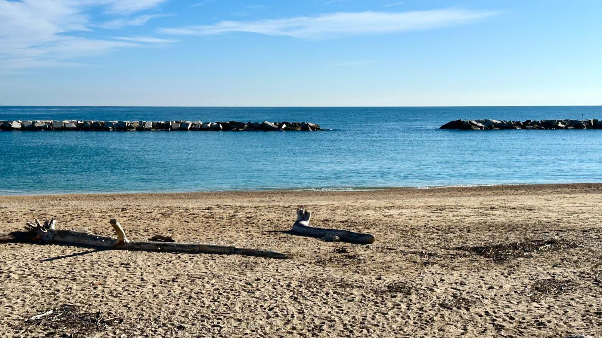 P020 - Porto Recanati, Nuovo Trilocale Con Giardino Zewnętrze zdjęcie